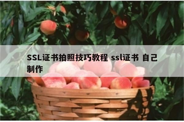 SSL证书拍照技巧教程 ssl证书 自己制作