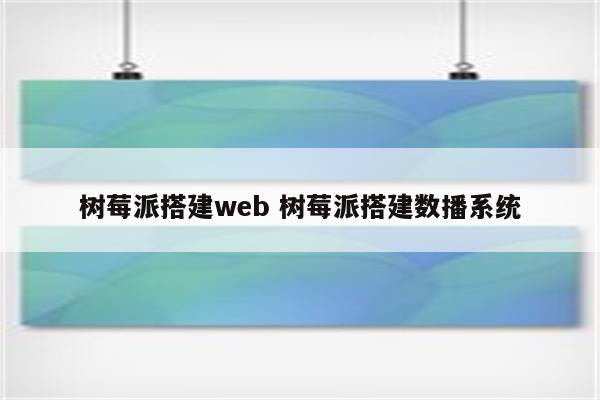 树莓派搭建web 树莓派搭建数播系统