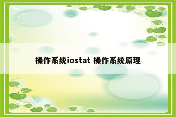 操作系统iostat 操作系统原理