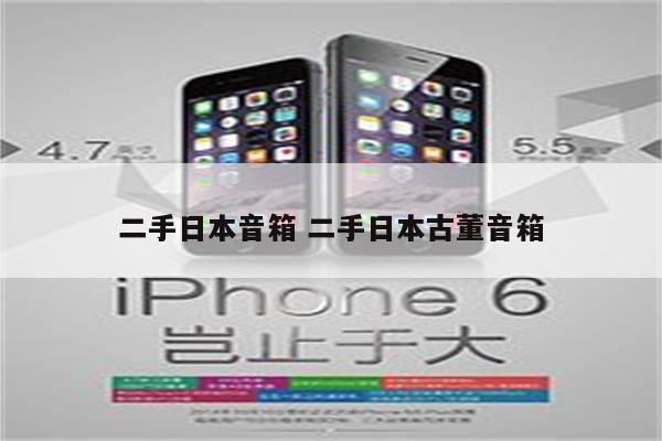 二手日本音箱 二手日本古董音箱