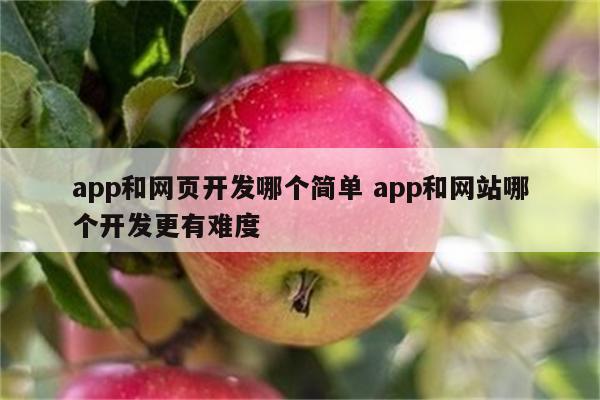 app和网页开发哪个简单 app和网站哪个开发更有难度