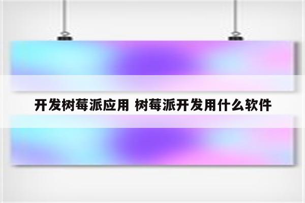 开发树莓派应用 树莓派开发用什么软件