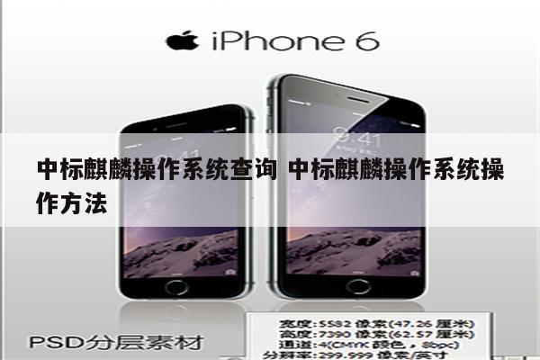 中标麒麟操作系统查询 中标麒麟操作系统操作方法