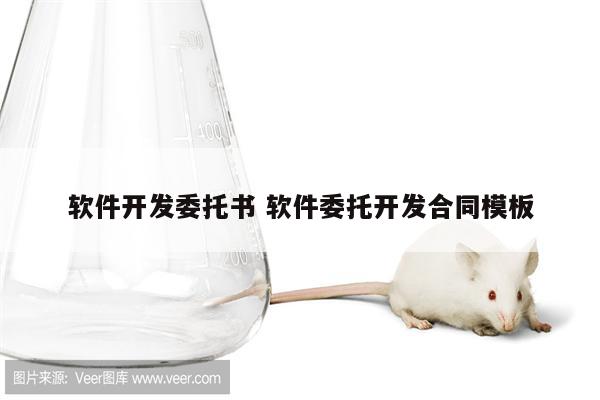 软件开发委托书 软件委托开发合同模板