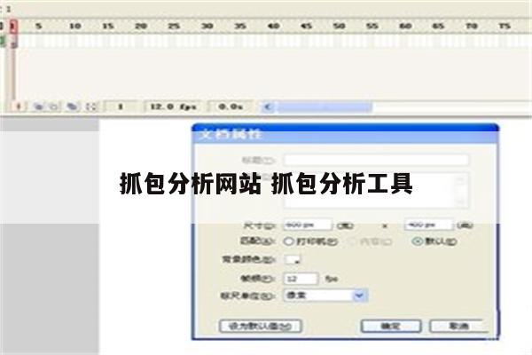 抓包分析网站 抓包分析工具