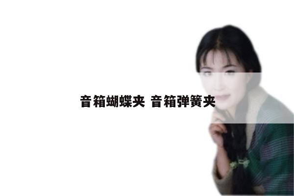 音箱蝴蝶夹 音箱弹簧夹