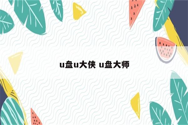 u盘u大侠 u盘大师