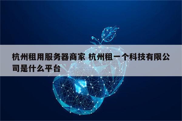 杭州租用服务器商家 杭州租一个科技有限公司是什么平台