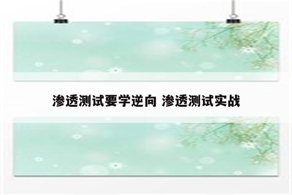 渗透测试要学逆向 渗透测试实战