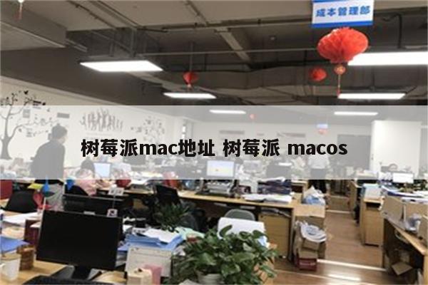 树莓派mac地址 树莓派 macos
