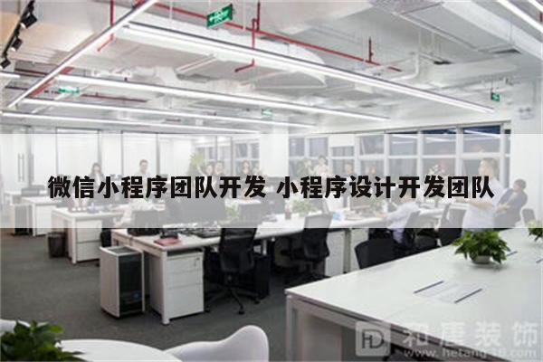 微信小程序团队开发 小程序设计开发团队