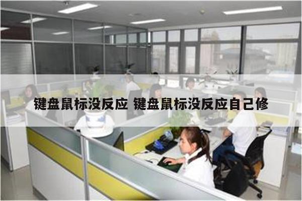 键盘鼠标没反应 键盘鼠标没反应自己修