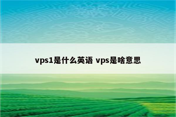 vps1是什么英语 vps是啥意思
