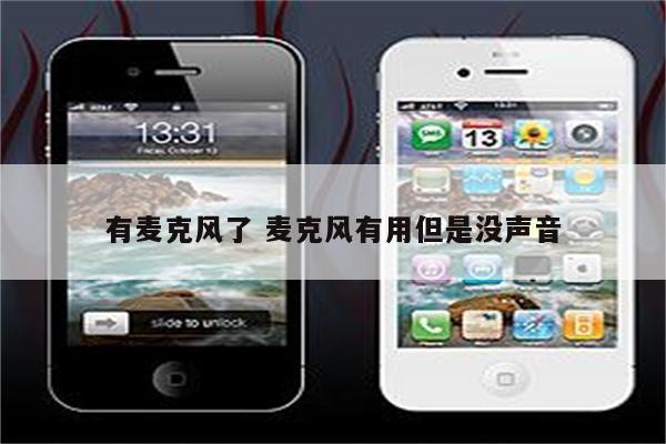 有麦克风了 麦克风有用但是没声音