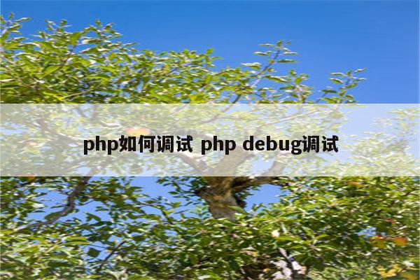 php如何调试 php debug调试