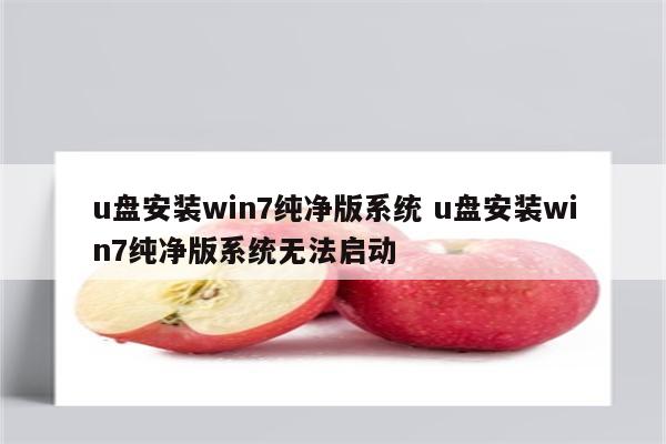 u盘安装win7纯净版系统 u盘安装win7纯净版系统无法启动