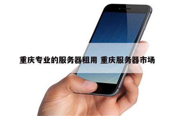 重庆专业的服务器租用 重庆服务器市场