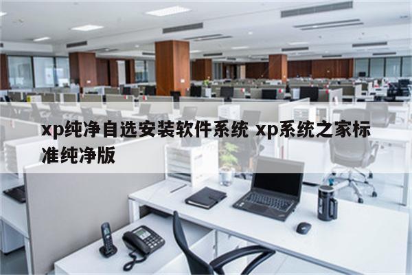 xp纯净自选安装软件系统 xp系统之家标准纯净版