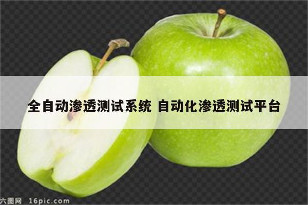全自动渗透测试系统 自动化渗透测试平台