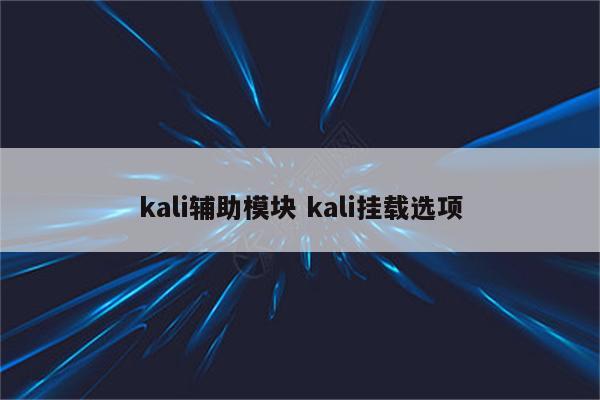 kali辅助模块 kali挂载选项