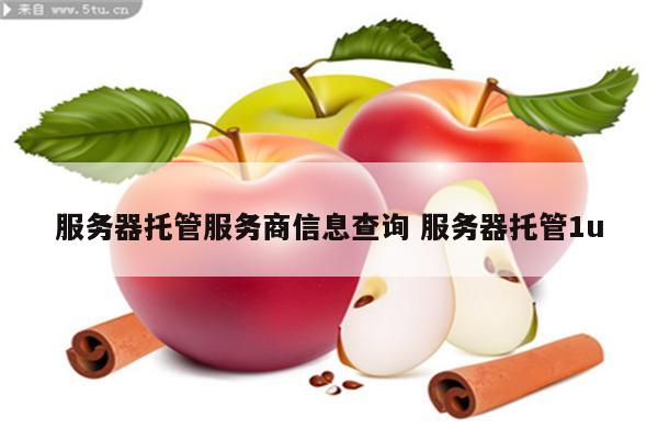 服务器托管服务商信息查询 服务器托管1u