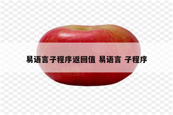 易语言子程序返回值 易语言 子程序