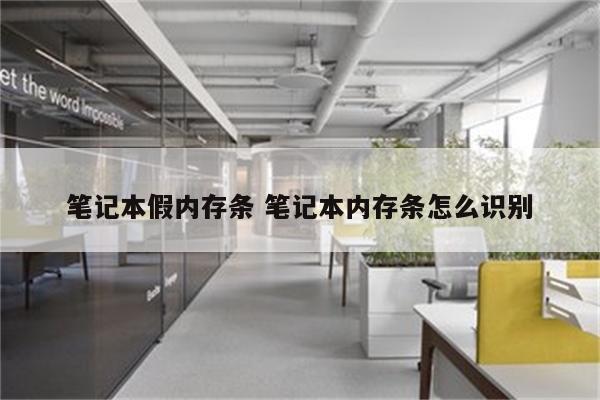 笔记本假内存条 笔记本内存条怎么识别