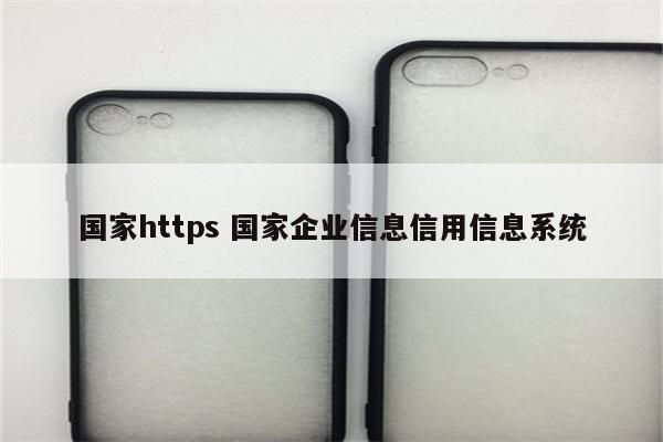 国家https 国家企业信息信用信息系统