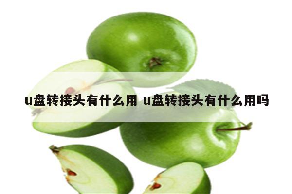 u盘转接头有什么用 u盘转接头有什么用吗