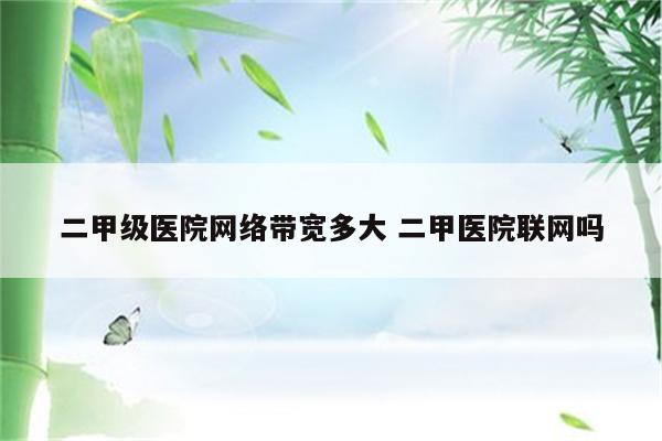 二甲级医院网络带宽多大 二甲医院联网吗