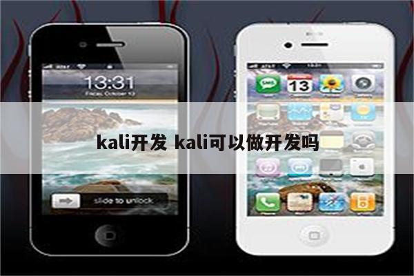kali开发 kali可以做开发吗