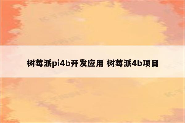 树莓派pi4b开发应用 树莓派4b项目