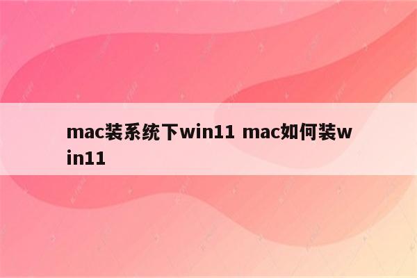 mac装系统下win11 mac如何装win11