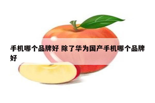 手机哪个品牌好 除了华为国产手机哪个品牌好