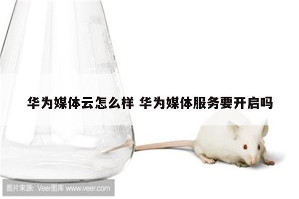 华为媒体云怎么样 华为媒体服务要开启吗