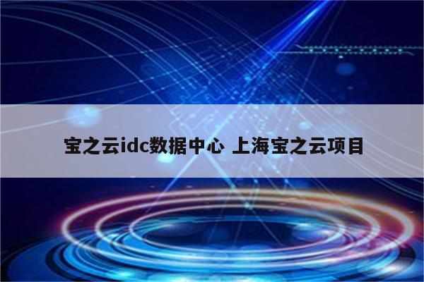 宝之云idc数据中心 上海宝之云项目