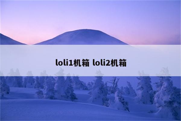 loli1机箱 loli2机箱