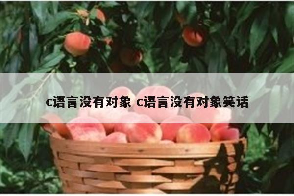 c语言没有对象 c语言没有对象笑话
