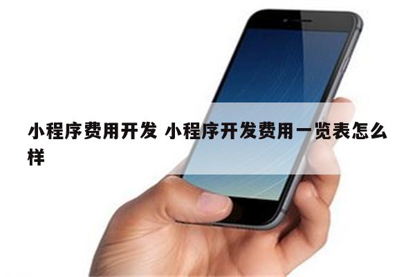 小程序费用开发 小程序开发费用一览表怎么样