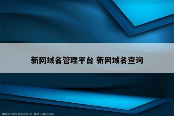 新网域名管理平台 新网域名查询