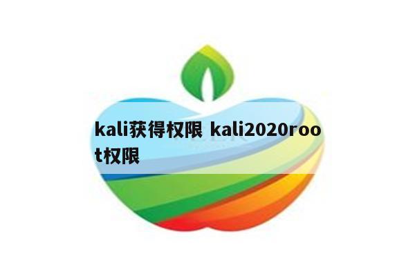 kali获得权限 kali2020root权限