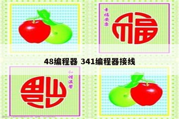 48编程器 341编程器接线