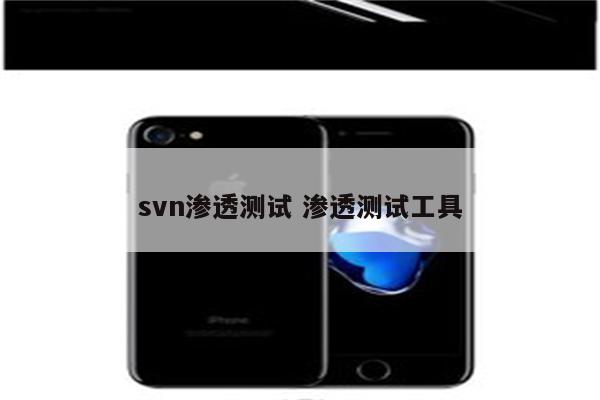 svn渗透测试 渗透测试工具