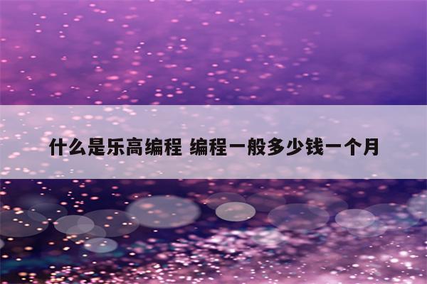 什么是乐高编程 编程一般多少钱一个月
