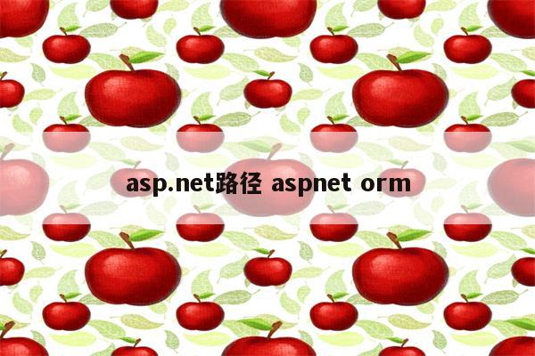 asp.net路径 aspnet orm