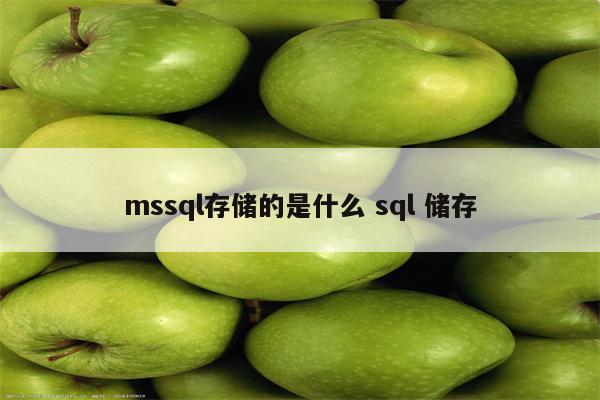 mssql存储的是什么 sql 储存